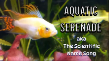 [Song} Aquatic Serenade aka The Scientific Name Song